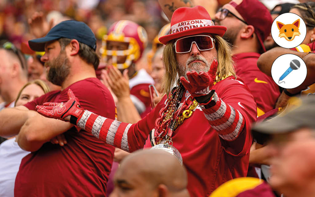 Der Quotenfuchs in der NFL bei den Arizona Cardinals.