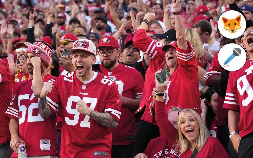Der Quotenfuchs in der NFL bei 49ers – Packers.