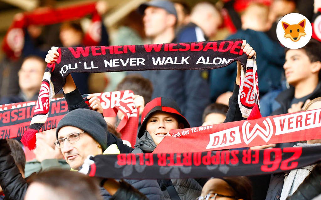 Der Quotenfuchs bei Wehen Wiesbaden gegen Ingolstadt