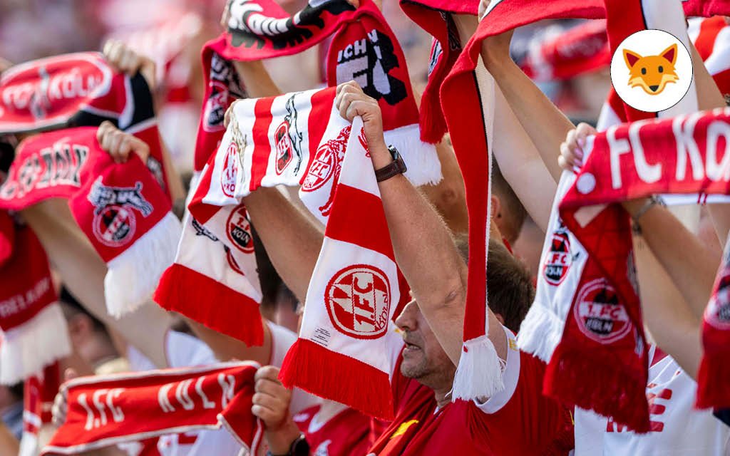 Der Quotenfuchs bei 1. FC Köln – VfB Stuttgart