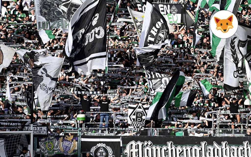 Der Quotenfuchs bei Gladbach - Freiburg
