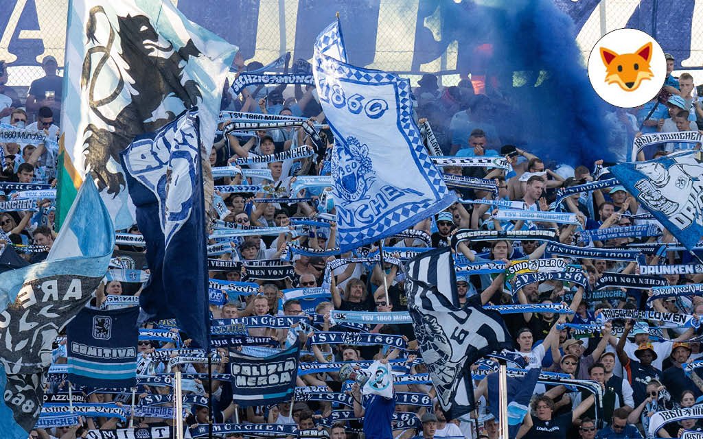 Der Quotenfuchs besucht TSV 1860 München gegen MSV Duisburg.