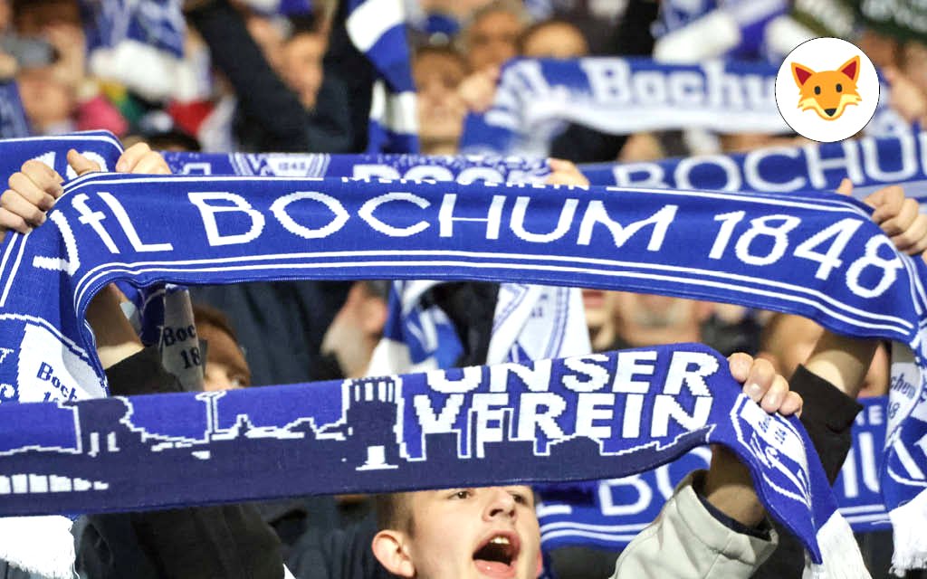 Der Quotenfuchs beim Zweitligakellerduell zwischen Bochum und Magdeburg