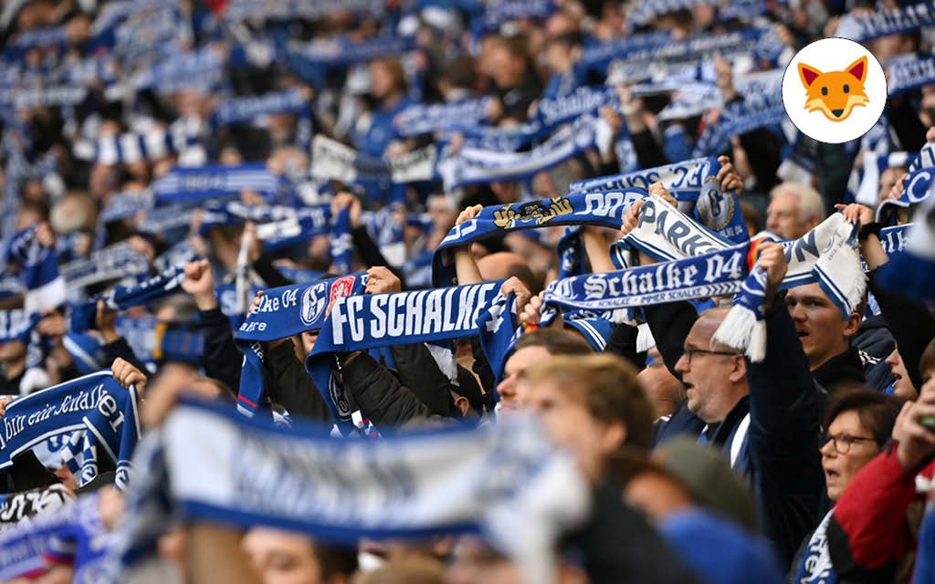 Der Quotenfuchs ist auf Schalke gegen Kaiserslautern