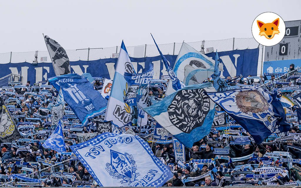 Der Quotenfuchs in München bei 1860 gegen Aachen.