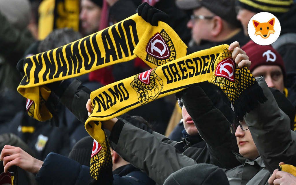 Der Quotenfuchs besucht am Samstagabend Dresden – Elversberg.