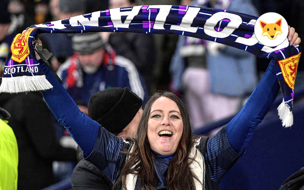 Der Quotenfuchs schaut beim Test zwischen Schottland und Japan vorbei.