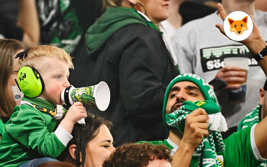 Der Quotenfuchs bei Hammarby – Degerfors