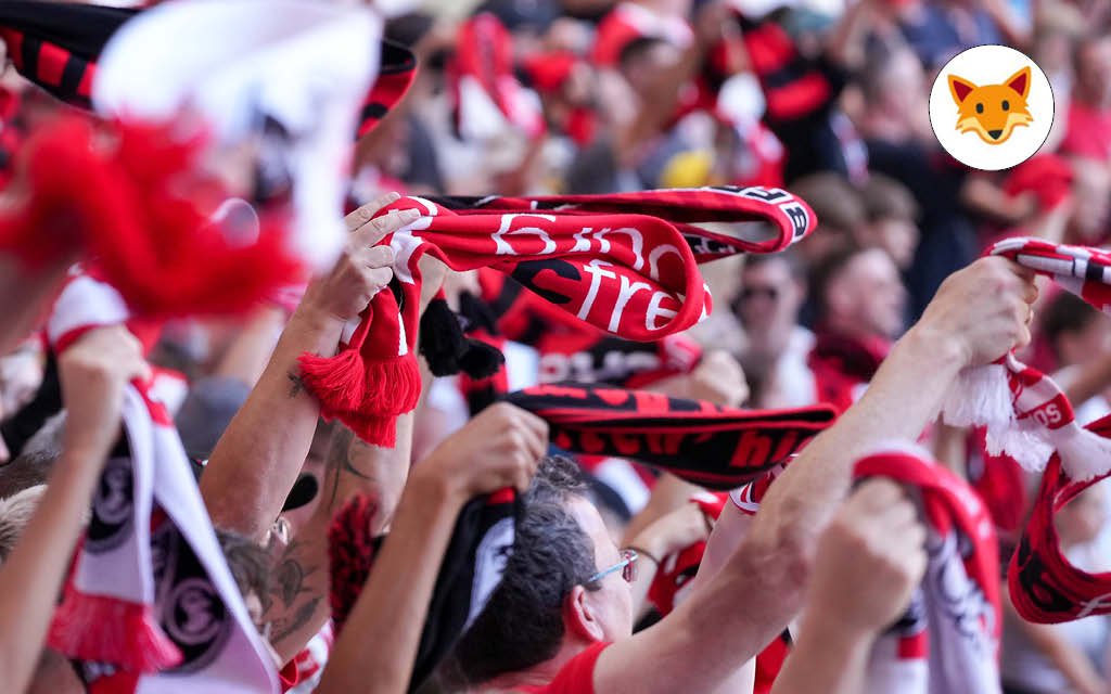 Der Quotenfuchs besucht den Tabellenführer der Bundesliga: Frankfurt – Freiburg